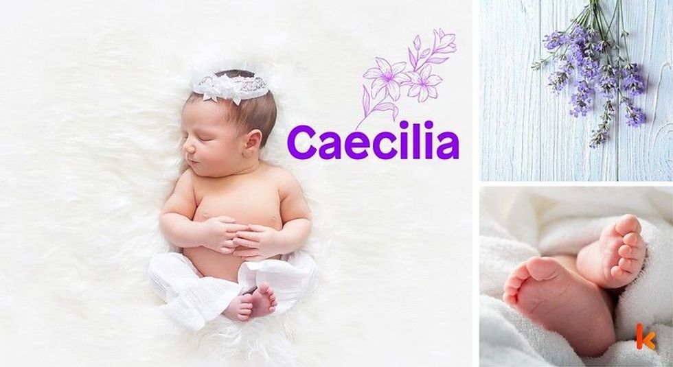 Baby Name Caecilia - cute baby, purple Flower, lying on blanket. 