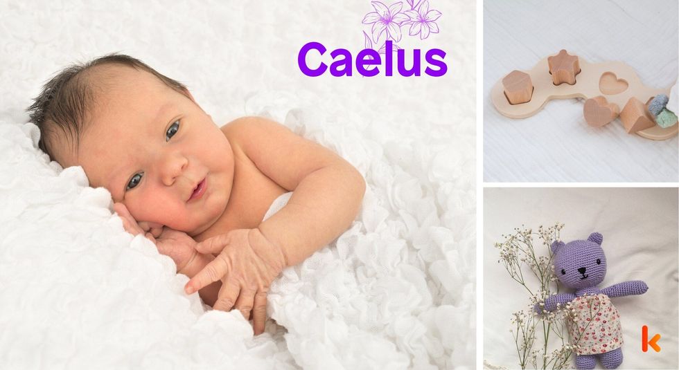 Baby Name Caelus - cute baby, purple Flower, lying on fur blanket. 