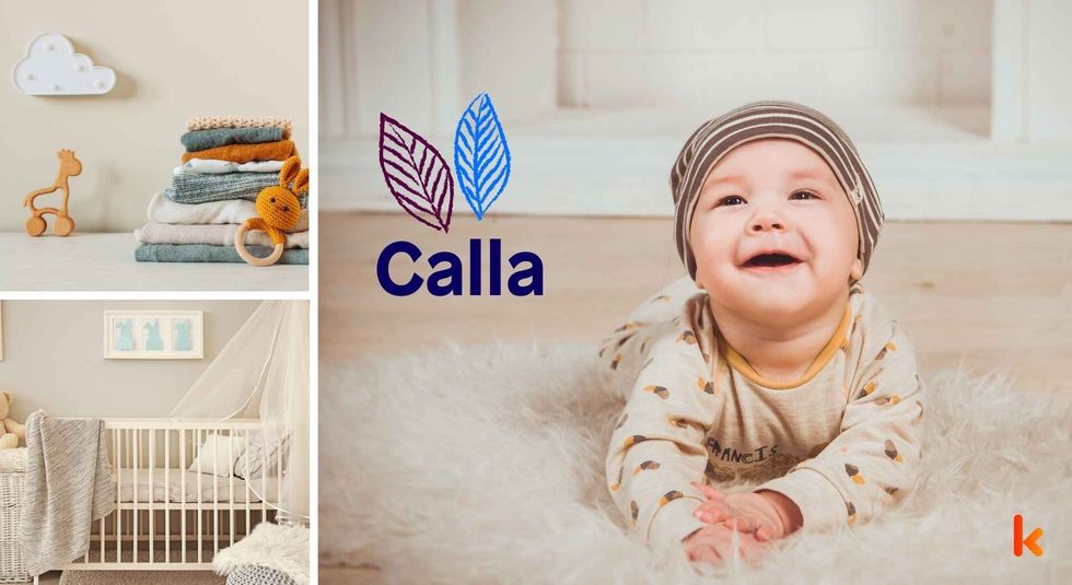 Baby name Calla - cute baby, clothes, crib, accessories and toys.