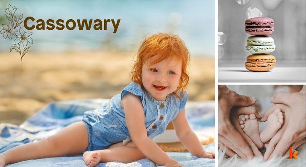 Baby name Cassowary - cute baby, macarons & feet