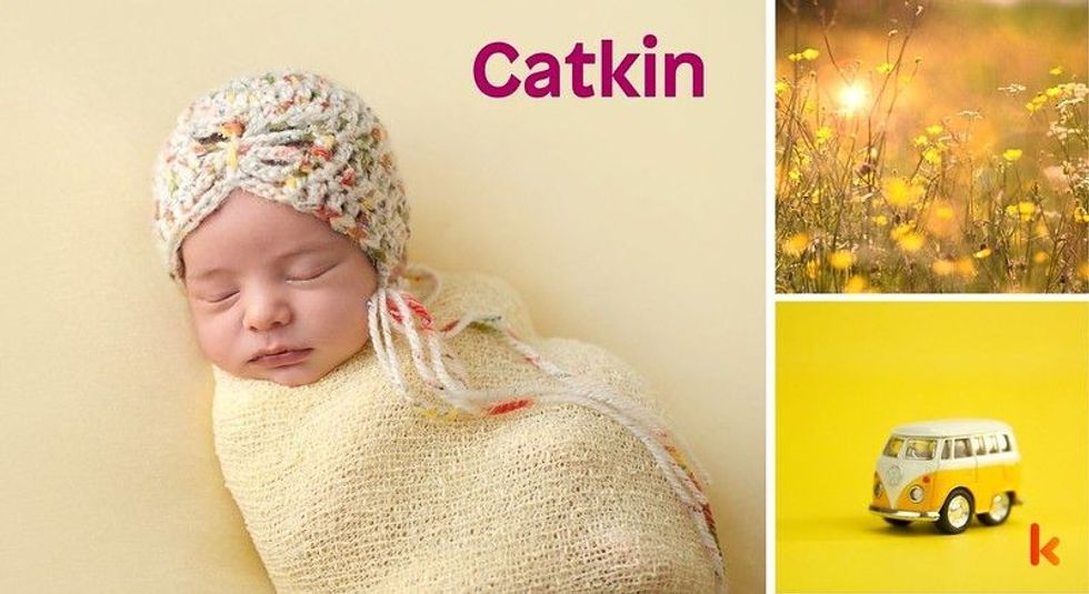 Baby name Catkin - cute baby, flowers, toys