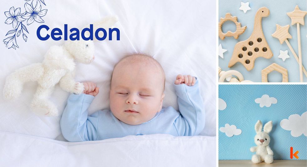 Baby name celadon - cute baby & toys.