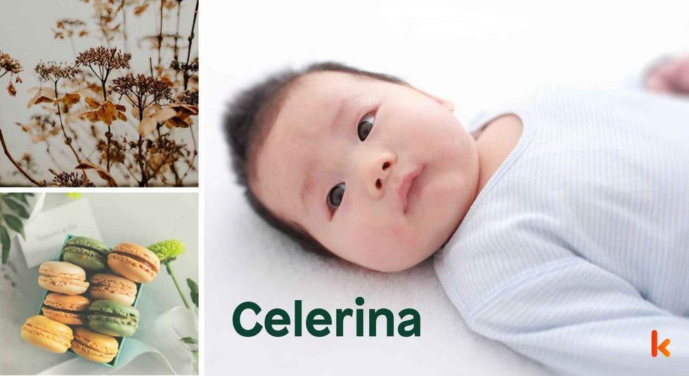 Baby name Celerina - cute baby, flowers, macarons