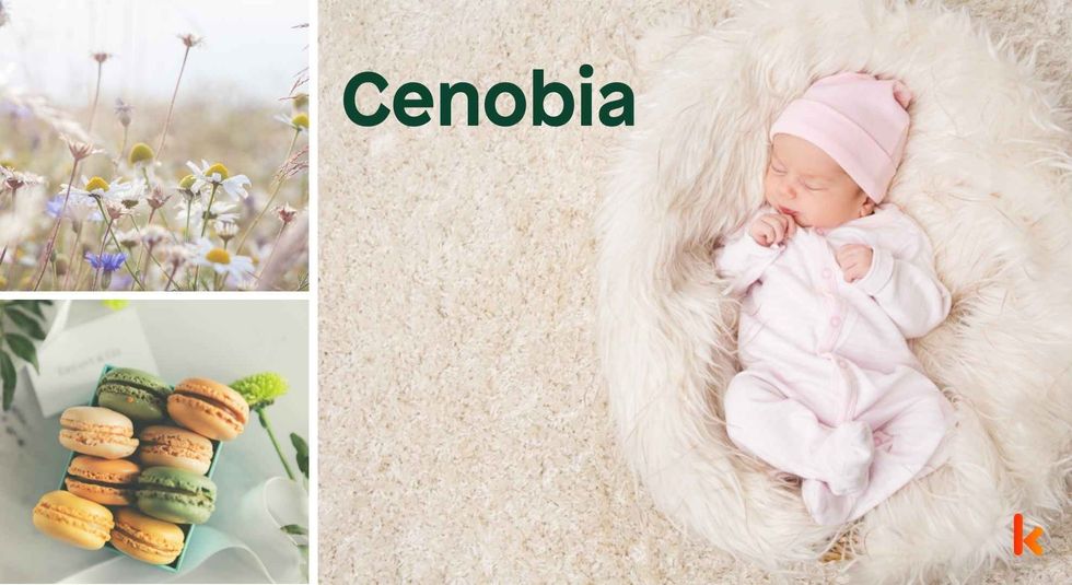 Baby name Cenobia - cute baby, flowers, macarons