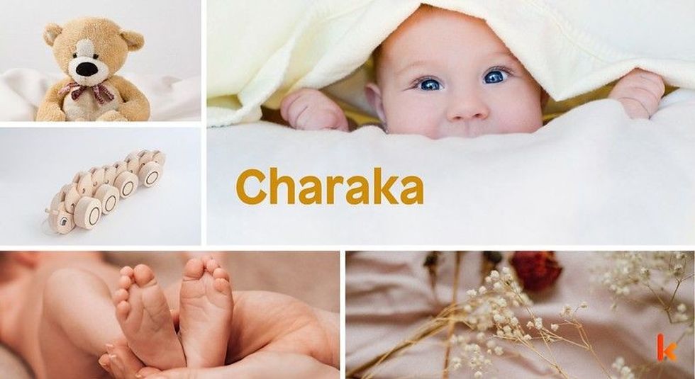 Baby Name Charaka - cute baby, teddy toy , baby legs