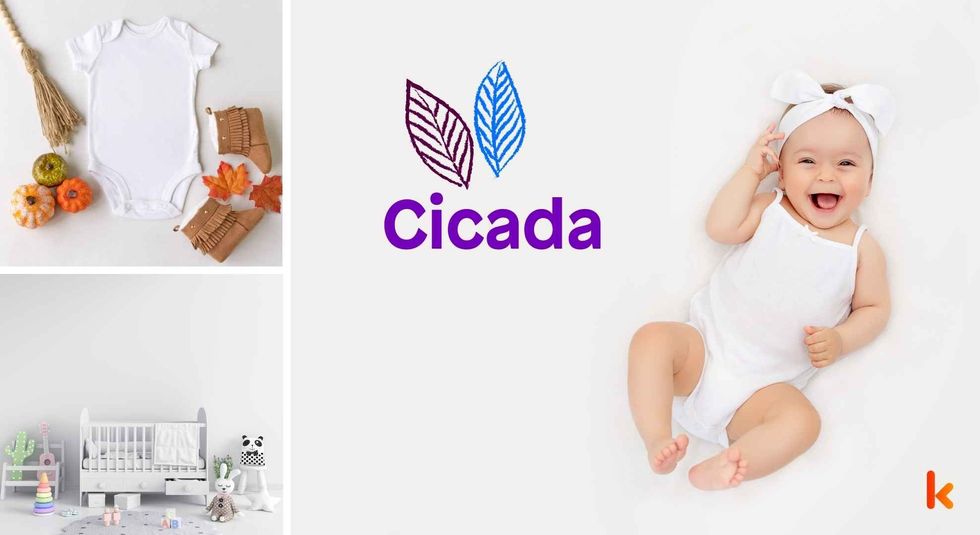 Baby name Cicada - cute baby, clothes, crib, accessories and toys.