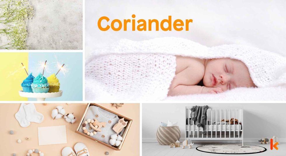 Baby name coriander - Cute baby, knitted clothes, cupcakes, booties, cradle ,toys & flowers. 