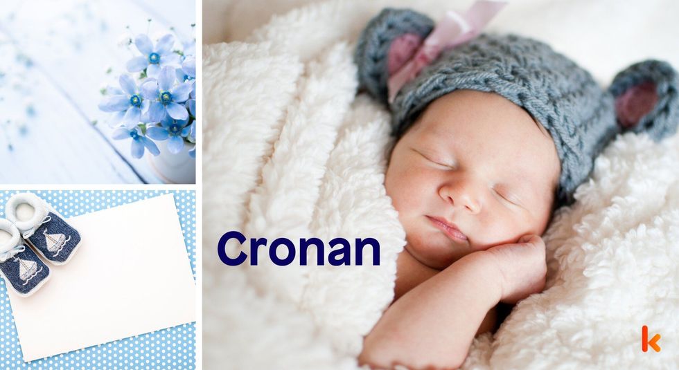Baby Name Cronan - cute baby, blue flower, baby booties.