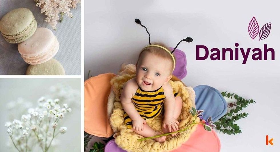 Baby name Daniyah - cute baby in bee costume, macarons & flowers.