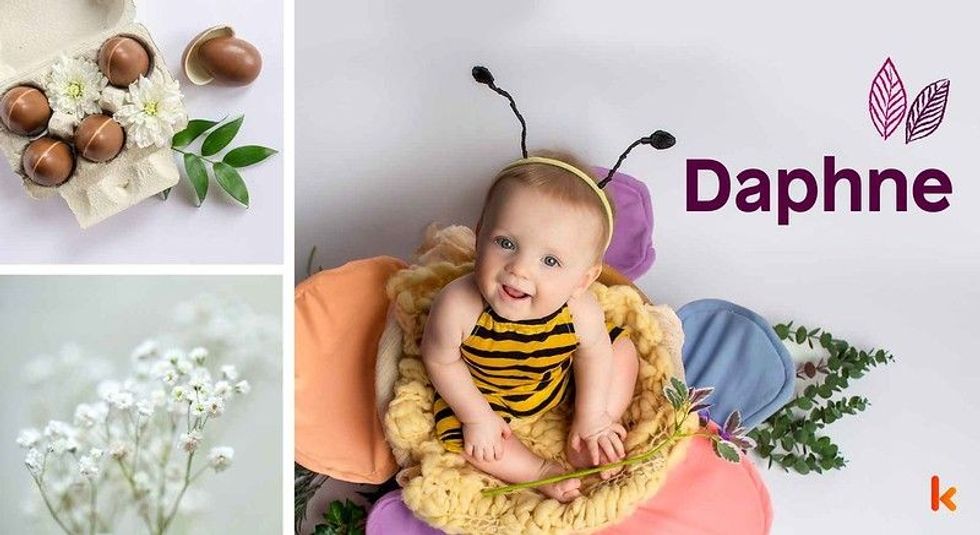 Baby name Daphne - cute baby in bee costume, chocolates & flowers.