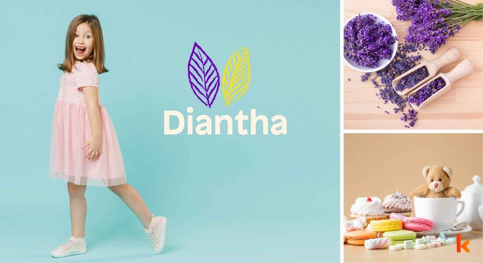 Baby name Diantha - Cute baby, purple flowers & macarons.