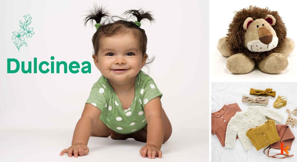 Baby name Dulcinea - cute baby, baby clothes & toys