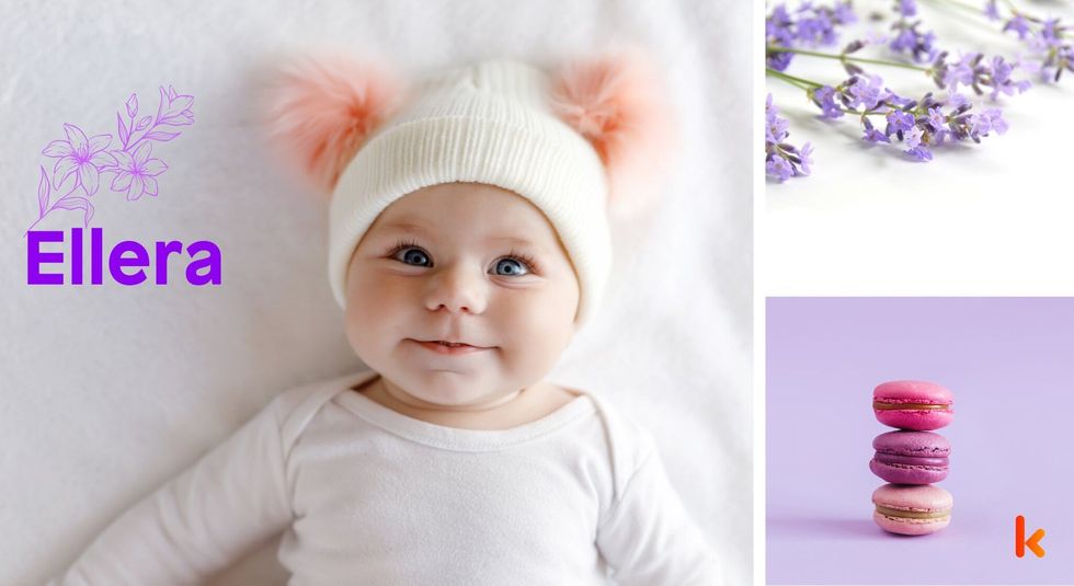 Baby Name Ellera - cute baby, purple Flower, macarons.