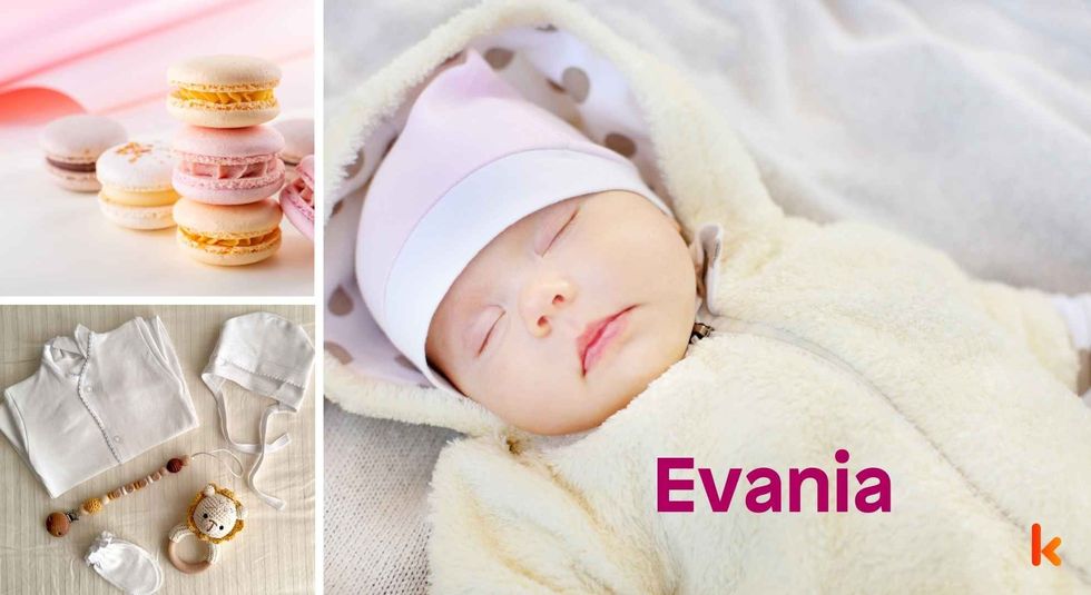 Baby name Evania - cute baby, macarons and clothes