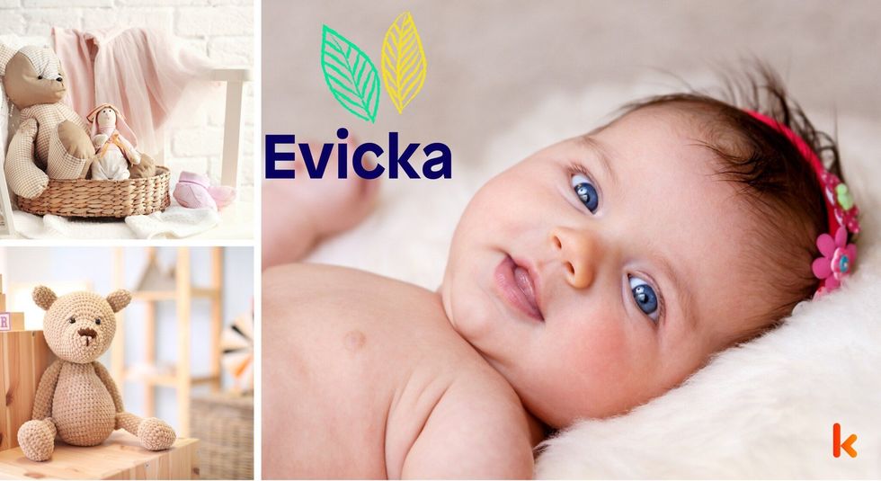 Baby Name Evicka - cute baby, flowers, teddy and toys.