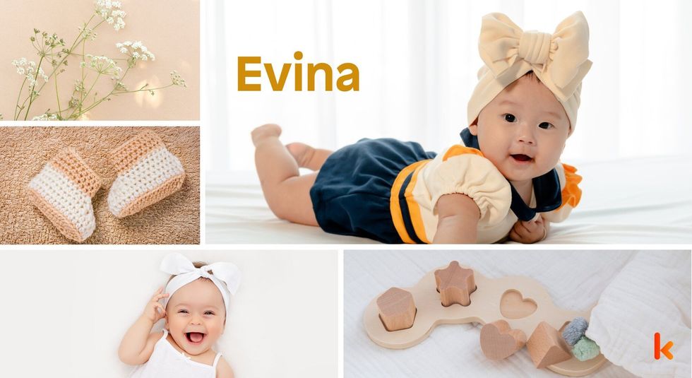 Baby Name Evina - cute baby, booties & toys.