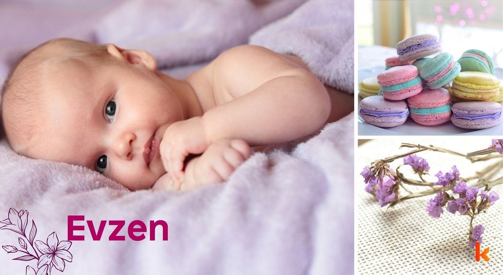 Baby name evzen - cute baby, colorful macarons & purple flowers.
