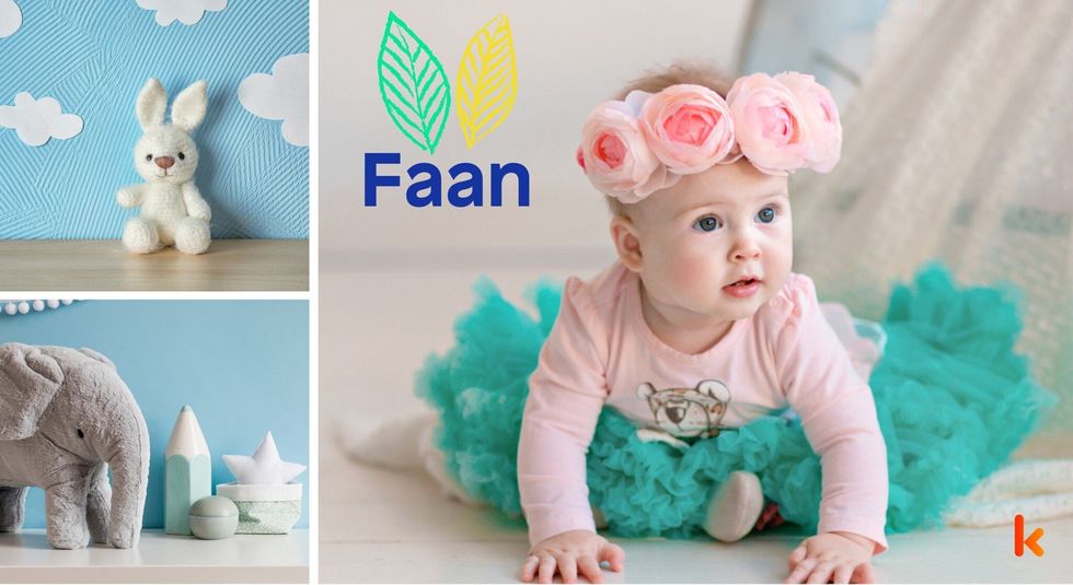 Baby name faan - bunny & elephant soft toys