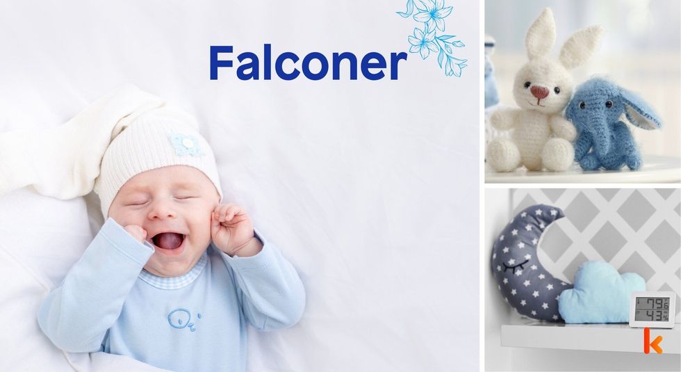 Baby name falconer - cute baby, pillows & stuffed toys.