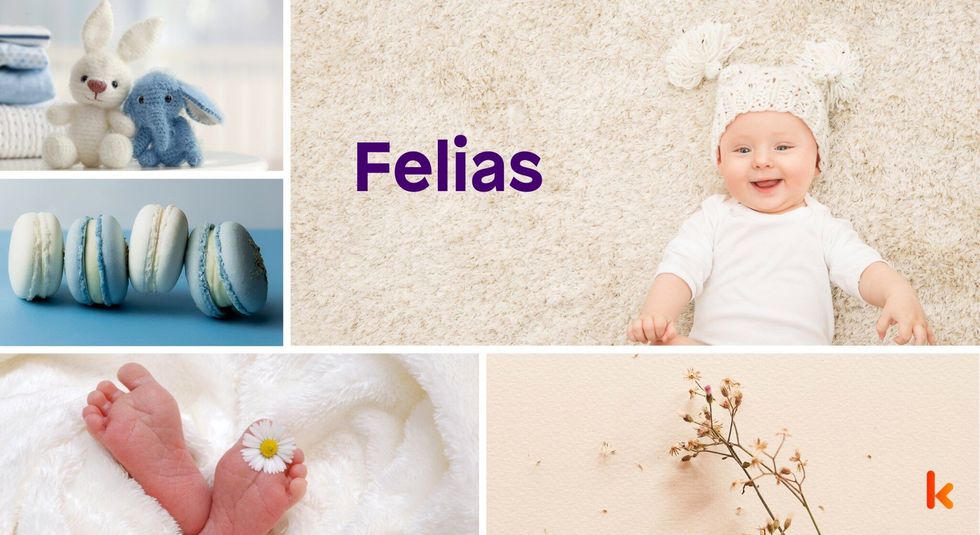 Baby name felias - cute baby, macarons, flowers & toys.