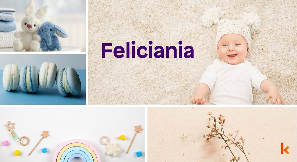 Baby name feliciania - cute baby, macarons, flowers & toys.