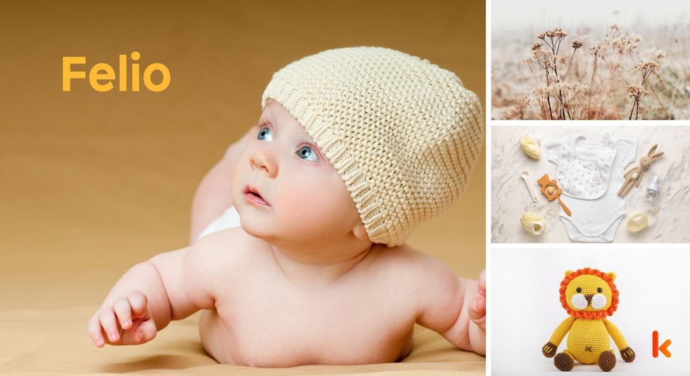 Baby name felio - cute baby, clothes, flowers & toys.
