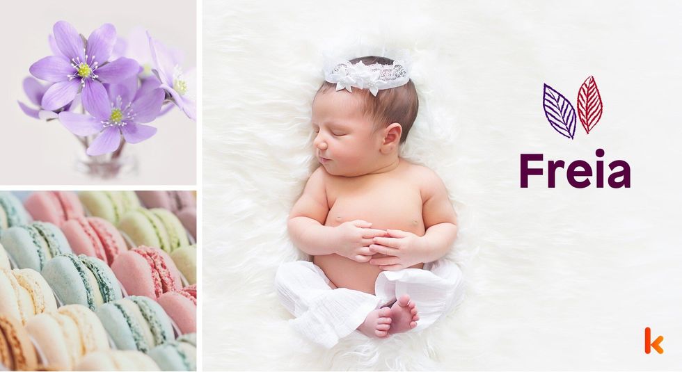 Baby name freia - cute baby, flowers & macarons.