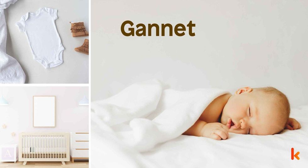 Baby name Gannet - cute baby, clothes, crib, accessories and toys.