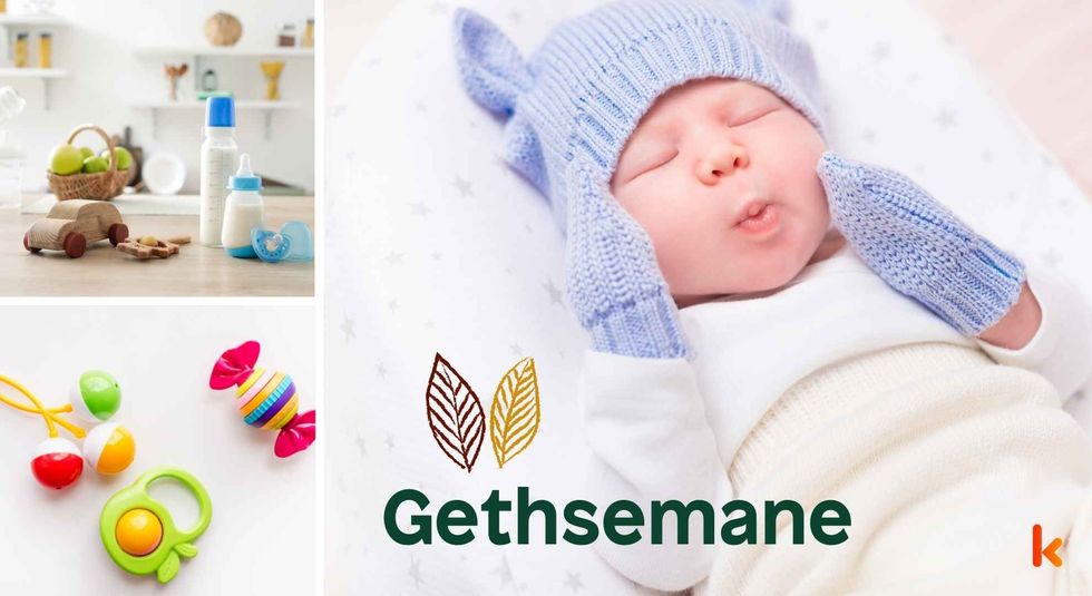 Baby name Gethsemane - cute baby, wooden toys, milk bottle & teethers.