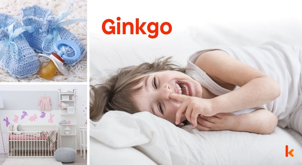 Baby name Ginkgo - cute baby, flowers, shoes and toys.