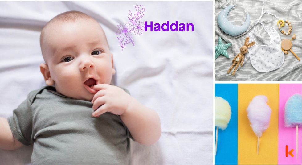Baby Name Haddan - cute baby, flowers, candy and toys.