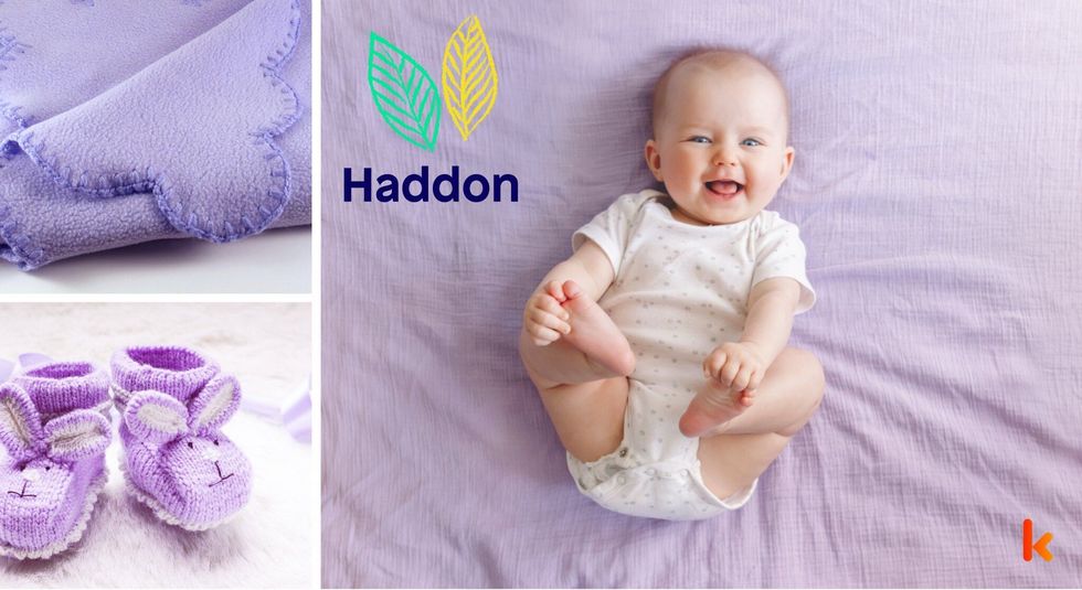 Baby Name Haddon - cute baby, flowers, shoes and toys.