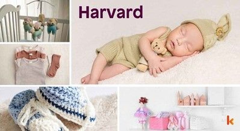 Baby Name Harvard- cute baby, crib, clothes, accessories, booties