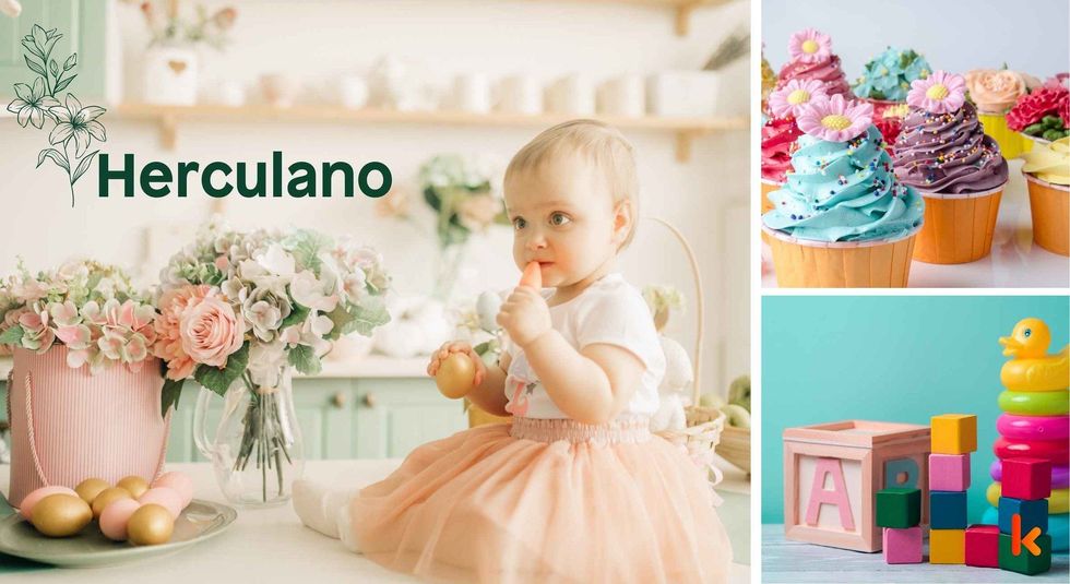 Baby name Herculano - cute baby, cupcake & toys