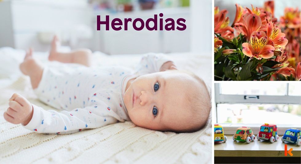 Baby name Herodias - cute baby, flowers, toys