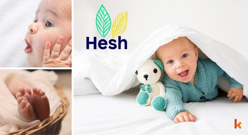 Baby name hesh - teddy, cute baby in blanket