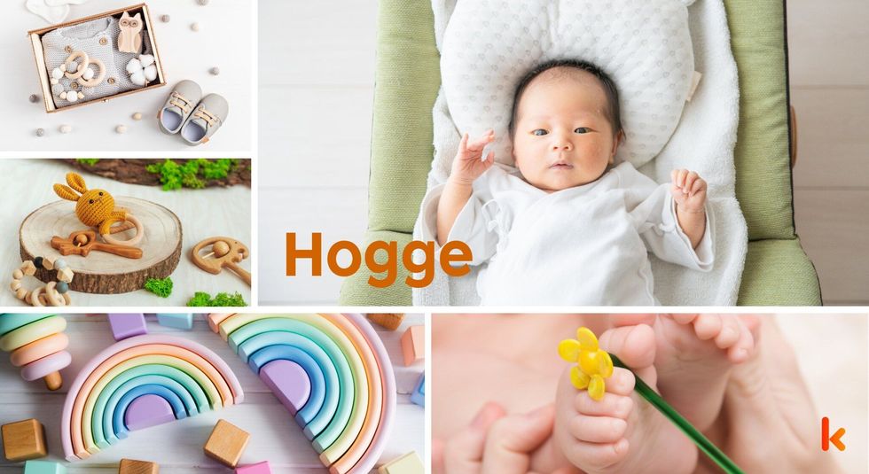Baby name hogge - baby feet, block toys, bunny soft toy & baby teethers
