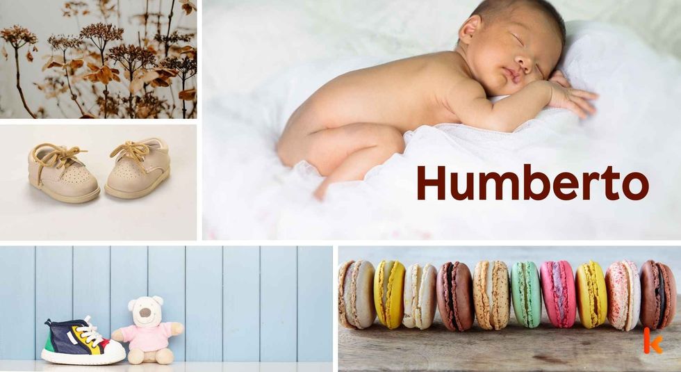Baby Name Humberto - cute baby, flowers, shoes, macarons and toys.