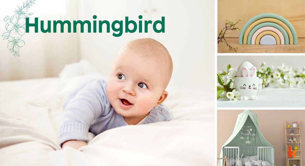 Baby name hummingbird - baby crib, block toys & easter egg.