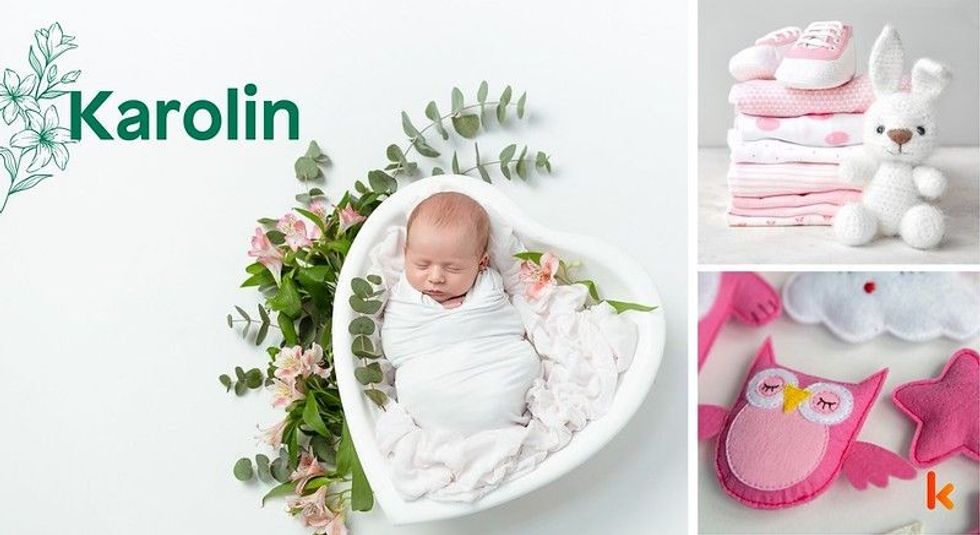 Baby name karolin - pink soft toys & bunny