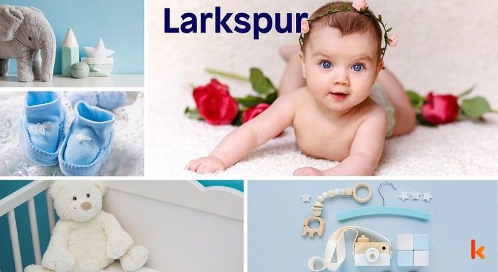 Baby Name Larkspur - baby, flowers, shoes and toys.