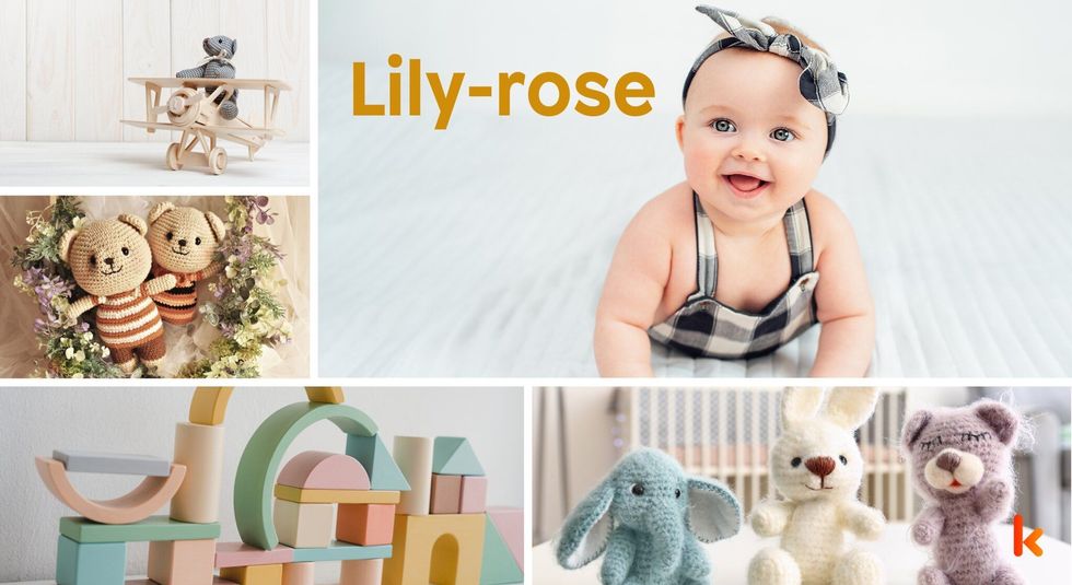 Baby name lily-rose - toys & plush soft toys, crochet.