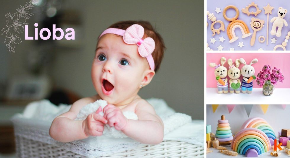 Baby name lioba - toys & bunny soft toys.