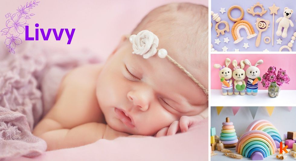 Baby name livvy - toys & bunny soft toys.