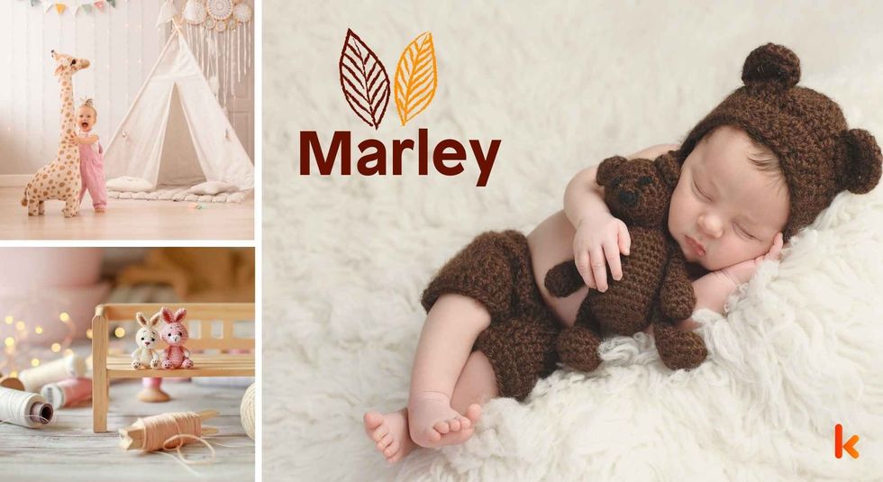 Baby name Marley - cute baby, tent, toys & soft toy