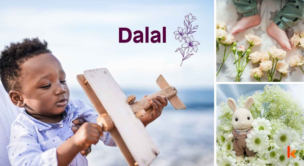 Baby name meaning Dalal - cute baby, baby feet & baby flowers.