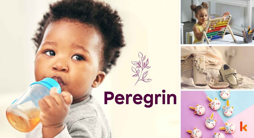 Baby name meaning Peregrin - cute baby, baby color toys, baby clothes & baby cake.