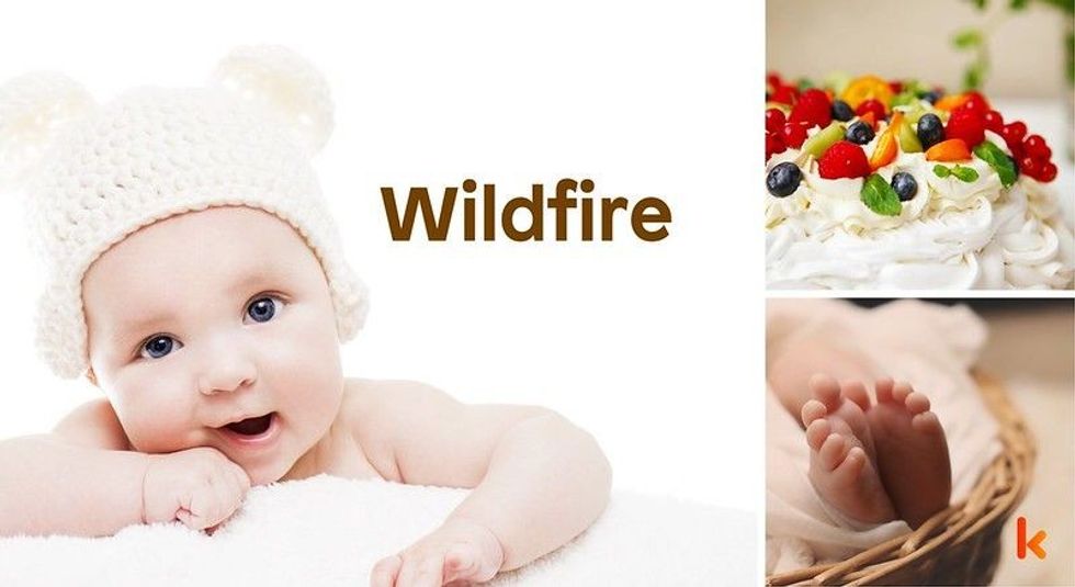 Baby name meaning Wildfire