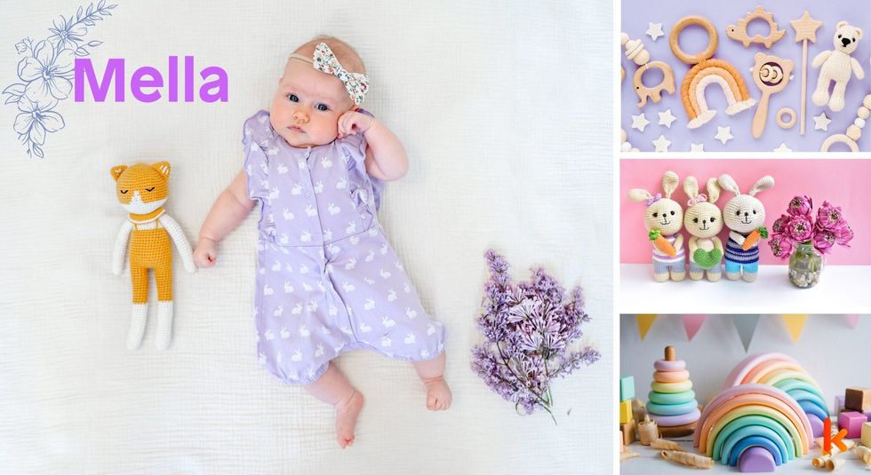 Baby name mella - toys & bunny soft toys