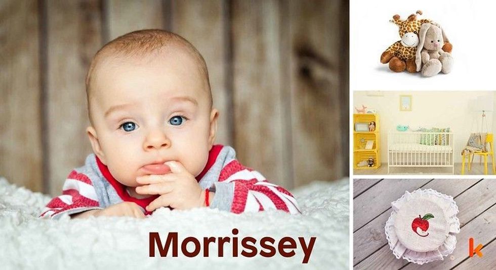 Baby name Morrissey - cute baby, toys, baby nursery & dessert